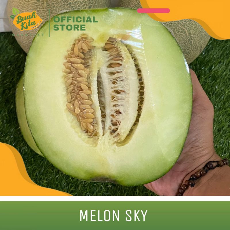 

BUAH MELON LOKAL