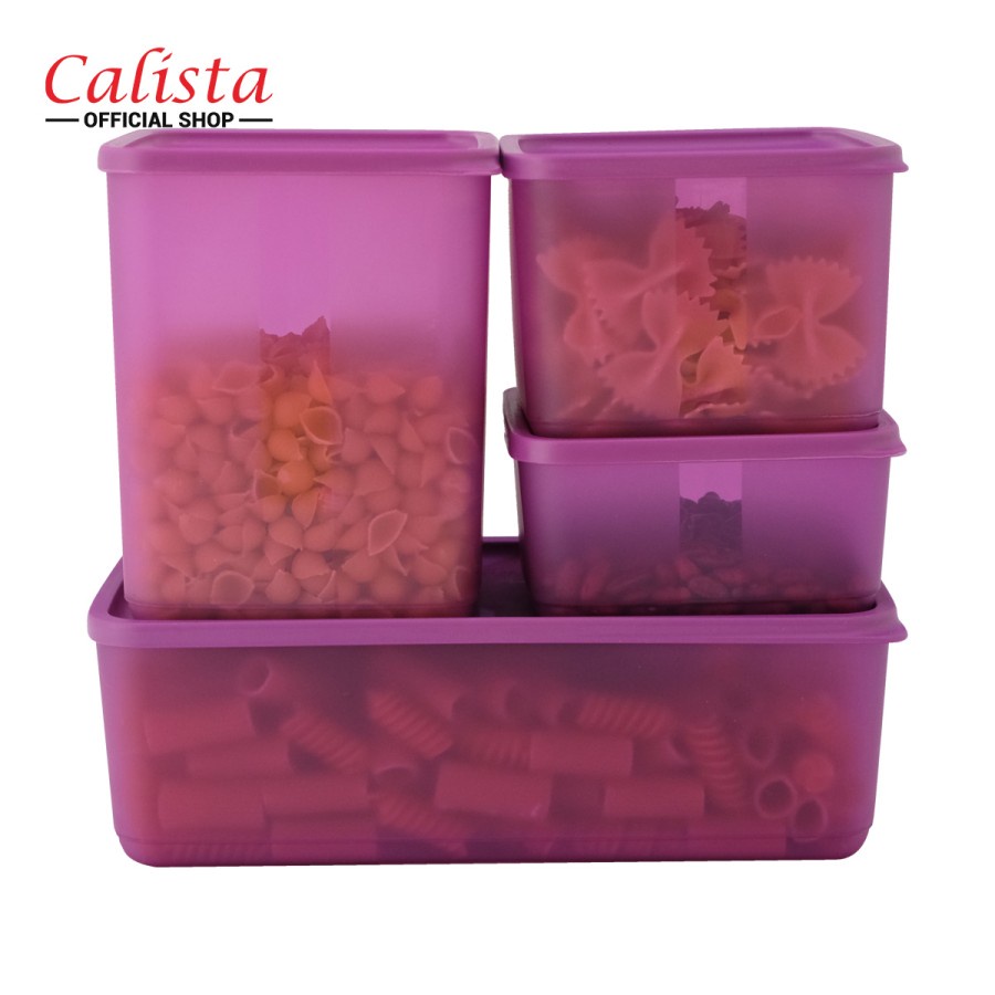 TOPLES AURORA CALISTA 4 SET NEW PRODUCT!!