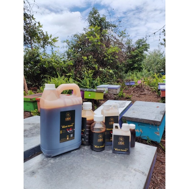 

madu hutan akasia asli 100%