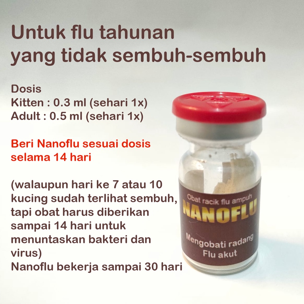 NANOFLU obat racik kucing untuk flu akut  tahunan yang tidak sembuh-sembuh