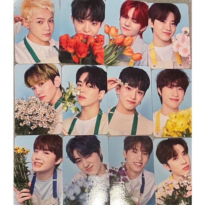 Md blooming treasure