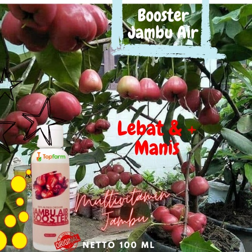 Jambu Air Booster 100mL / Pupuk Booster Jambu AIr / Pupuk Pelebat Buah Jambu Air / Pupuk Pelebat Org