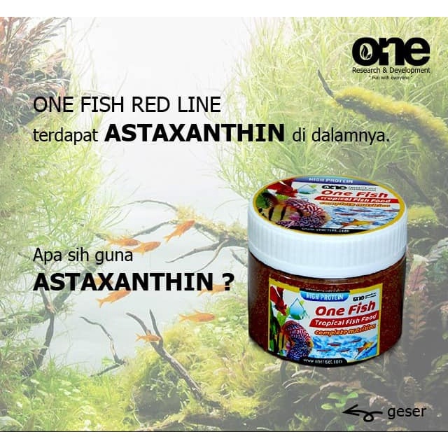 One Fish Tropical Makanan Ikan Hias Kecil Discus Guppy Cupang Manfish