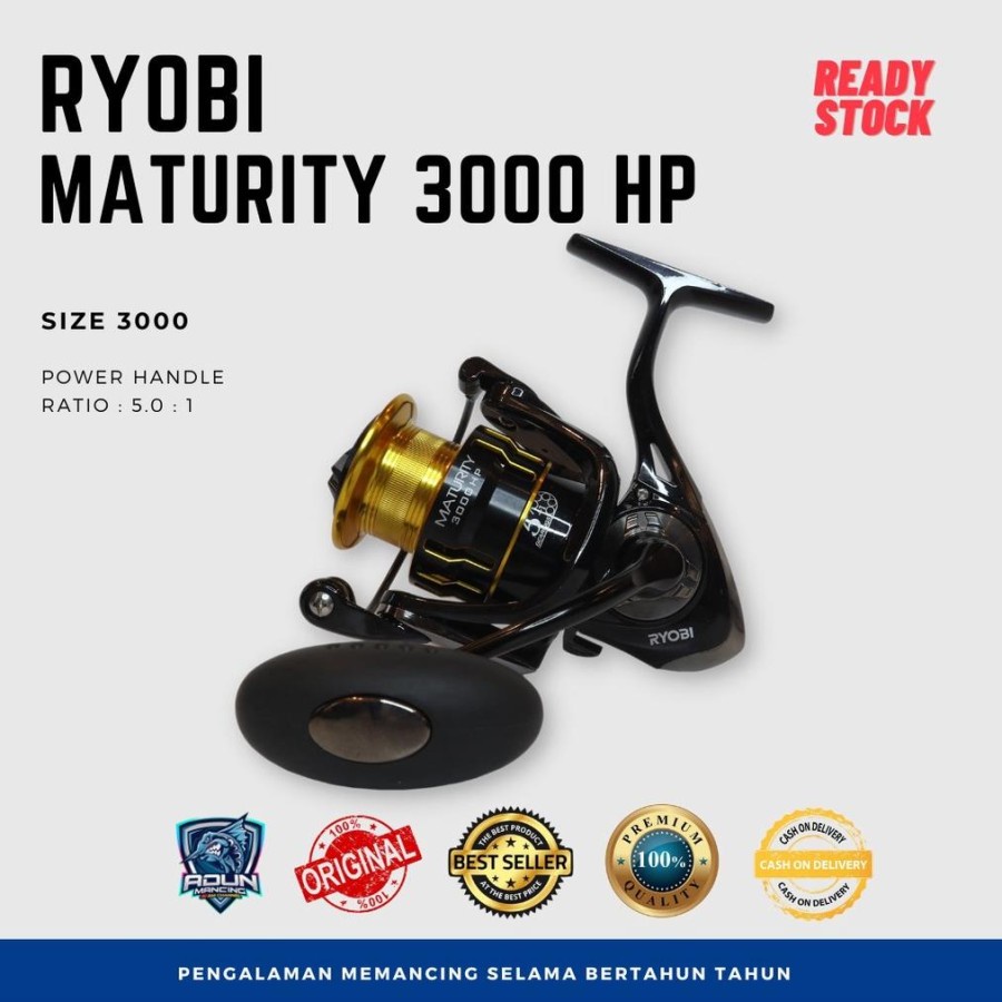 RYOBI MATURITY 3000 HP