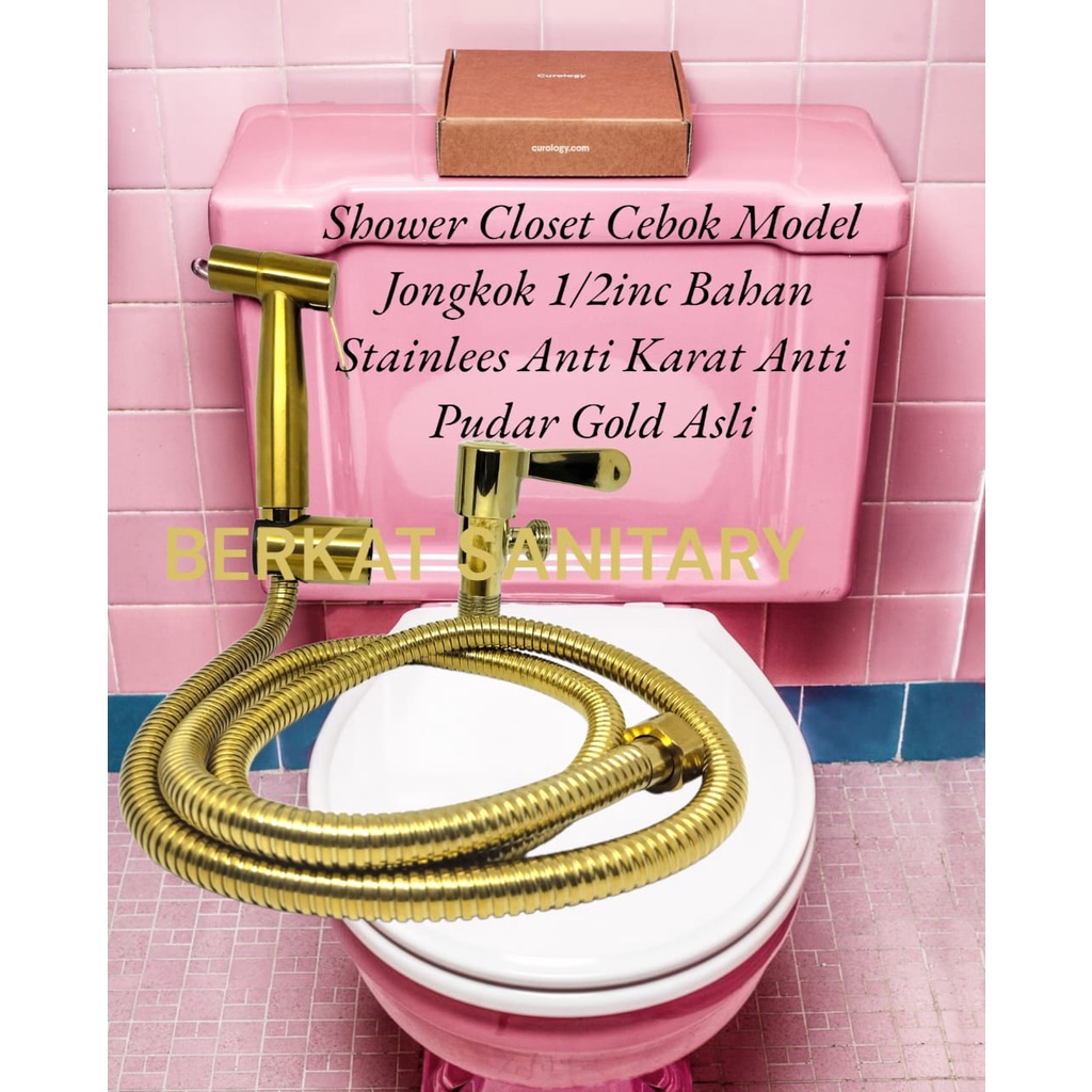 Jual SHOWER CEBOK JET WASHER GOLD SHOWER CEBOK SEMPROTAN BILAS MODEL