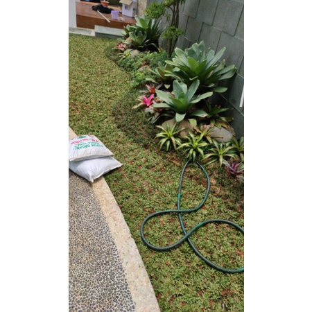 Taman Kering - Taman Minimalis Depok - Taman Depan Rumah