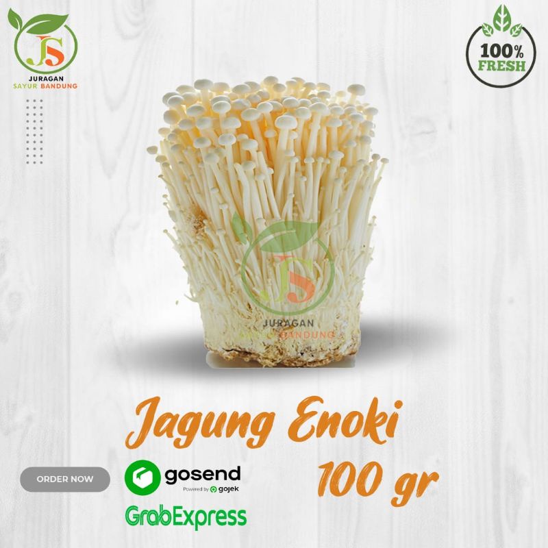 

Jamur Enoki 100 gr