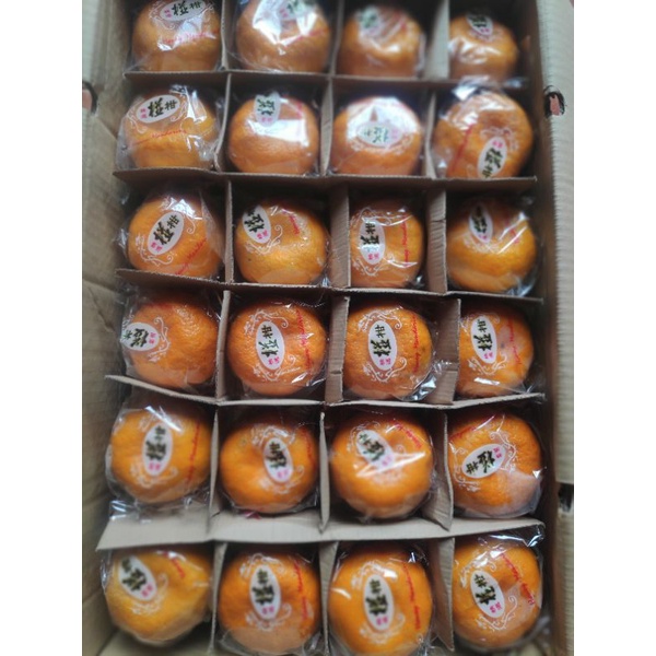 

jeruk ponkam hdl jumbo 1 kg (5buah)