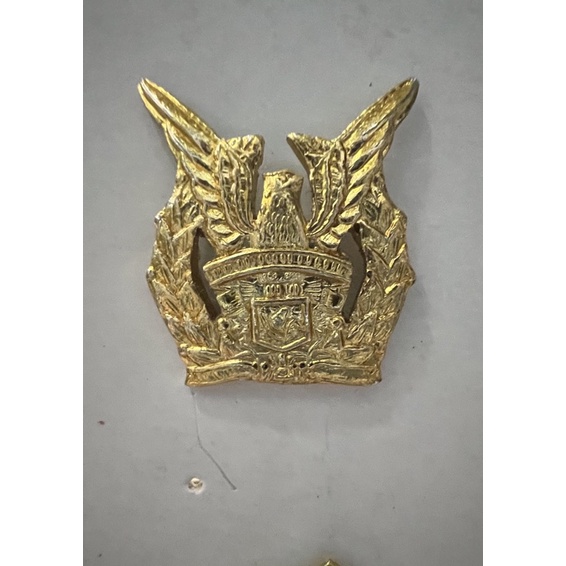 PIN MUT TNI AU