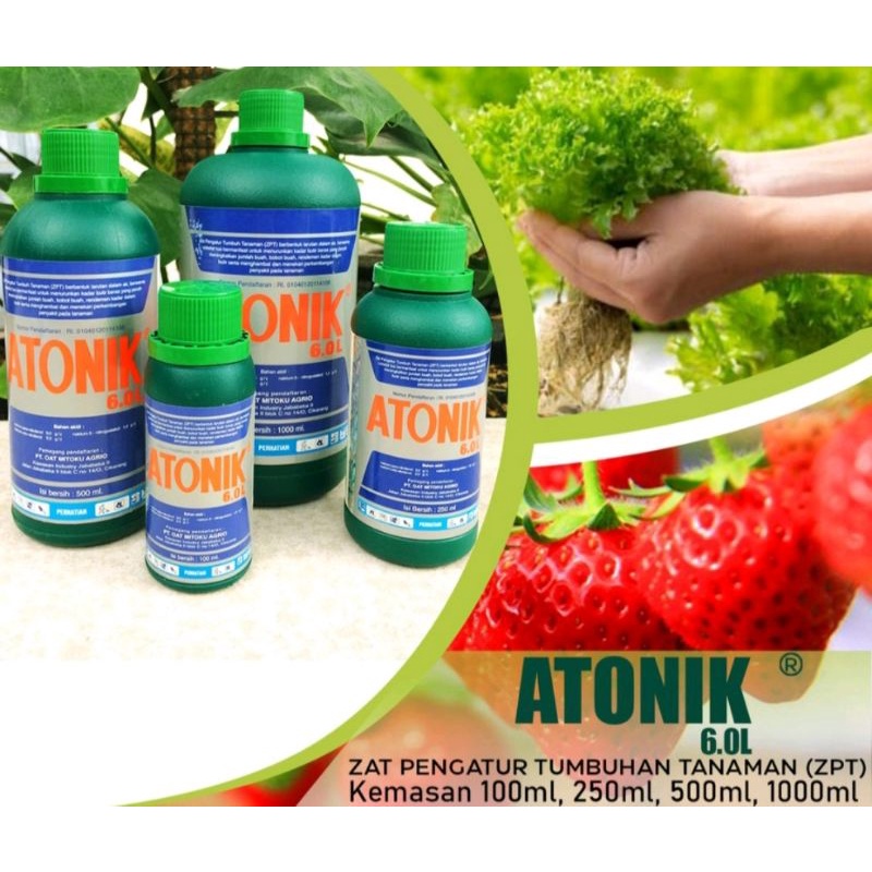 ANTONIK 100%ASLI (zat pengatir tumbuh dan perangsang akar/tunas)