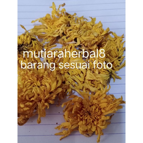 

GOLDEN CHRYSANTHEMUM PREMIUM 1 bunga /PREMIUM GOLDEN