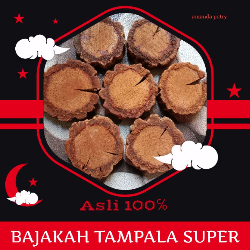 TAMPALA SUPER/bajakah tampala super asli kalimantan