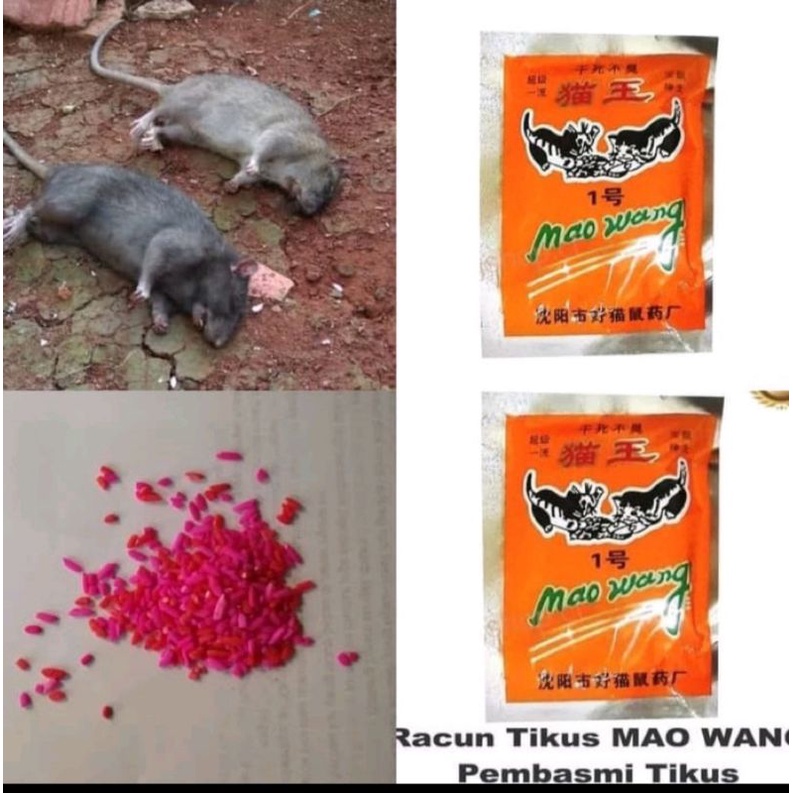 Jual Racun Tikus Shopee Indonesia 2744