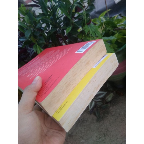 Crazy Rich Asian / Crazy Rich girlfriend by Kevin kwan