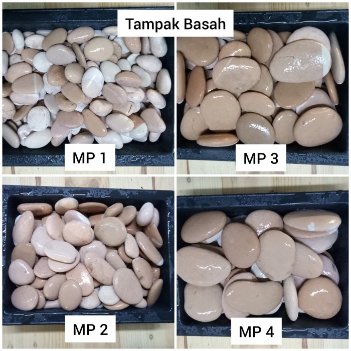 [QPODS] Batu Merah Pink 10 Kg (Batu Alam Koral Sikat Hias Taman)