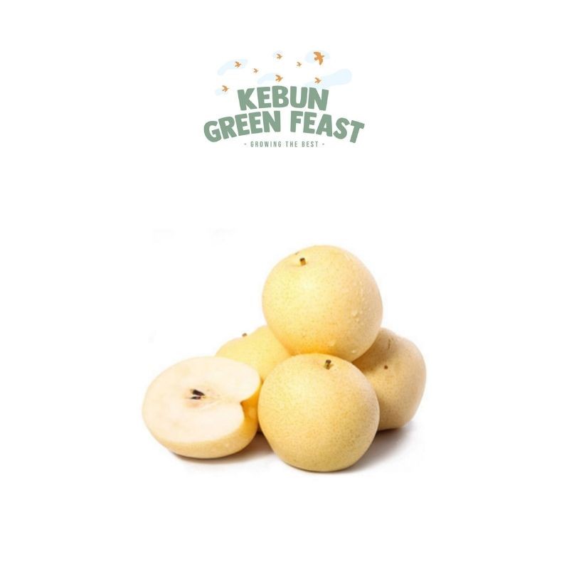 

Pear Century - Buah Pear