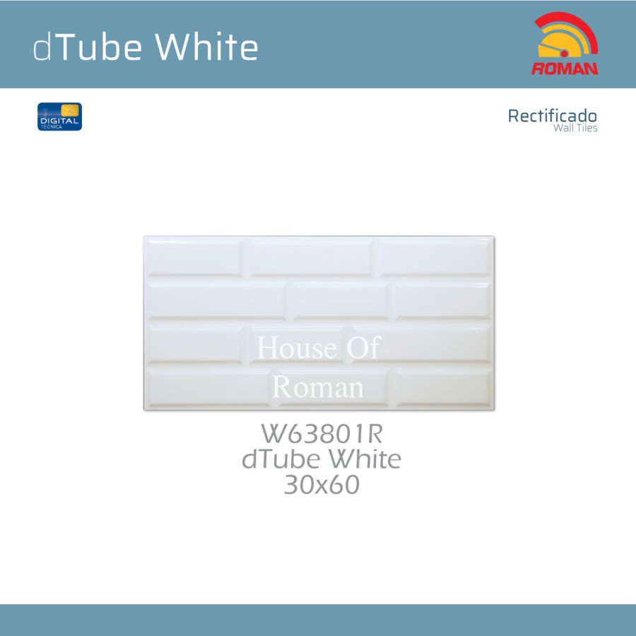 ROMAN DTUBE WHITE 30X60R W63801R (ROMAN HOUSE OF ROMAN)