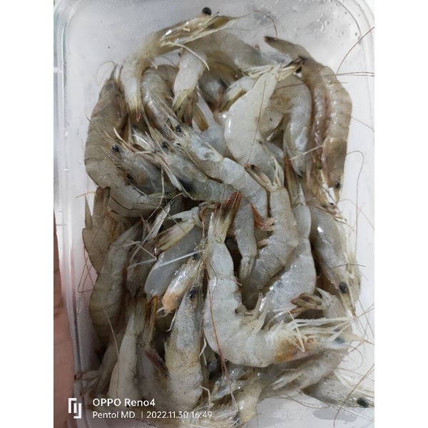 

udang kemasan tepak 250gram