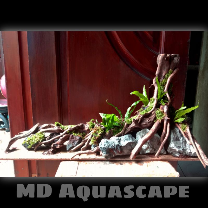 Hardscape Natural Uk 40cm Bonus Planting