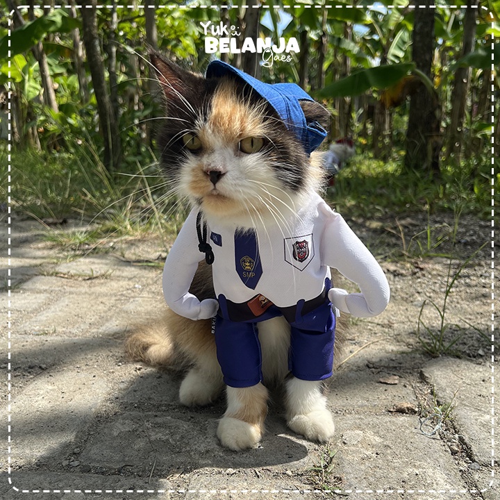 Baju Kucing Bahan Poliester Kostum Anak Sekolah SMP Tank Series Terlucu Baju Kucing anjing kelinci Lucu murah Size XS-XL / Yuk Belanja Gaes!