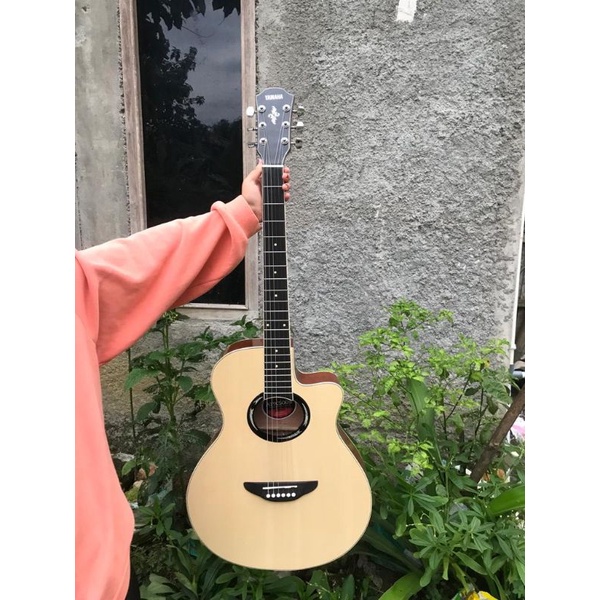 gitar apx 500ii