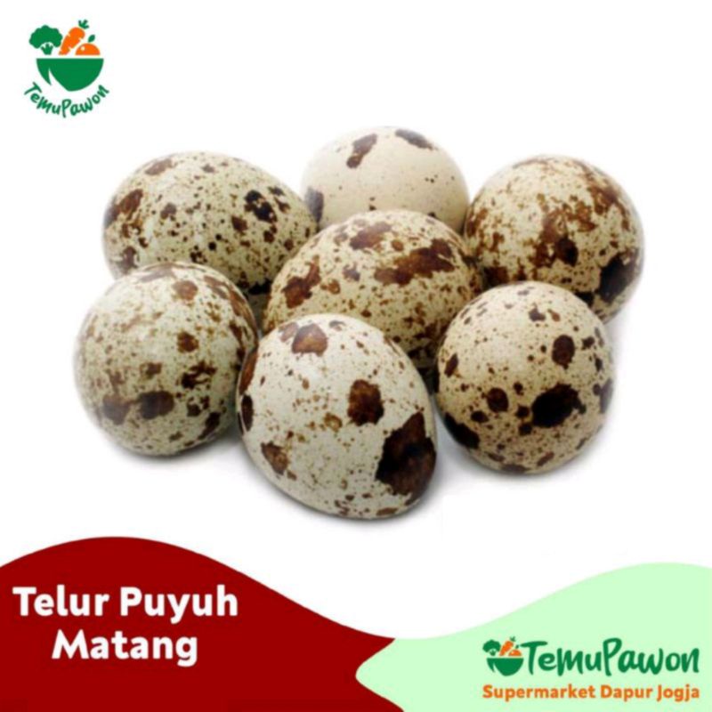 

TELUR PUYUH MATANG PER PACK - Telur Puyuh Siap Santap - TemuPawon