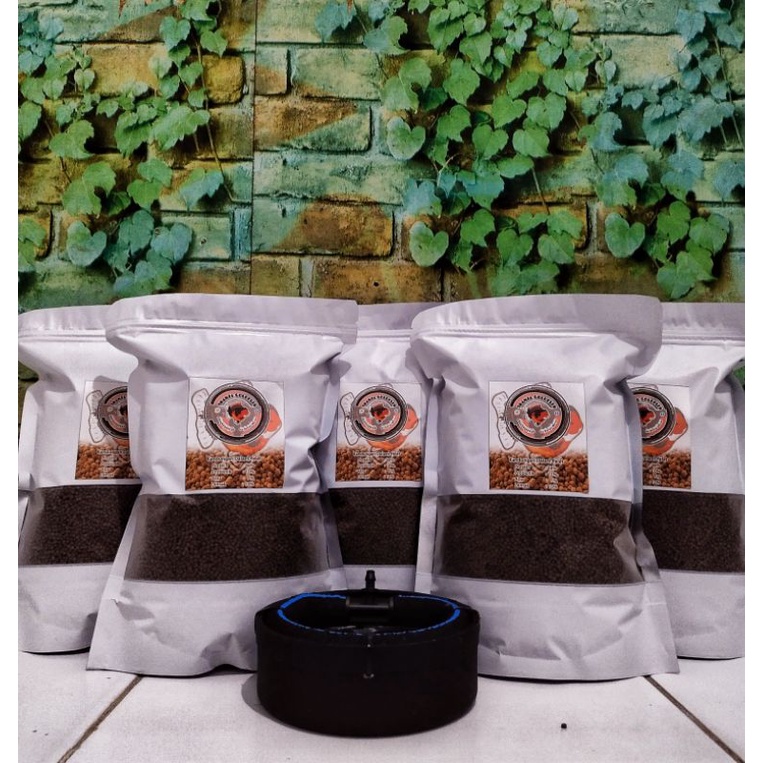 Khansa Food Goldfish