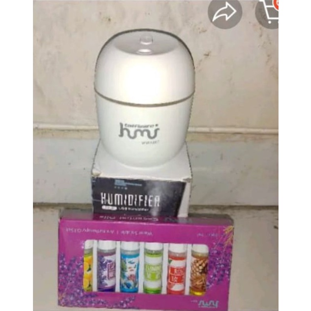 pelembab udara ruangan