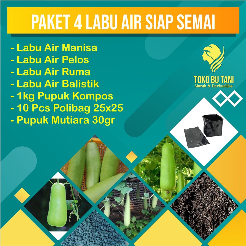 Paket 4 Benih Labu Air Siap Semai Terjangkau