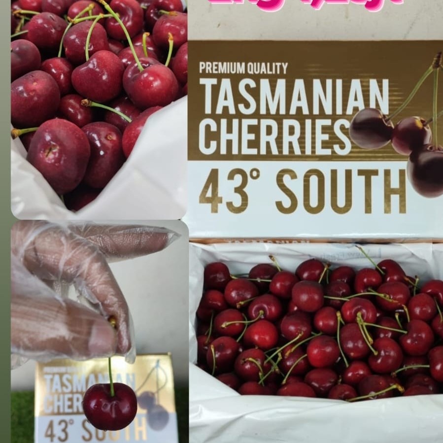 Buah Ceri Segar Tasmanian Cherry 43 South PREMIUM 1 dus 2 kg
