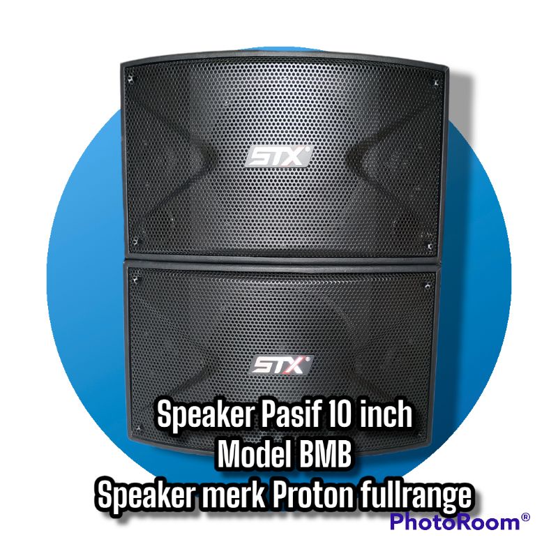 Speaker pasif custom isi Proton fullrange 10 inch murah berkualitas