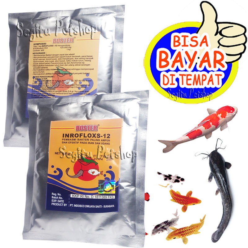OBAT JAMUR IKAN HIAS GURAME MAS PATIN NILA LELE SERBUK BOSTER INROFLOXS 12