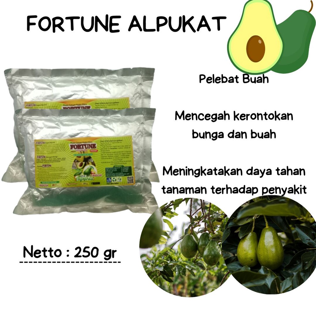 Pupuk Booster Buah Alpukat,Pupuk Perangsang Buah Alpukat,Pupuk Organik Buah Alpukat