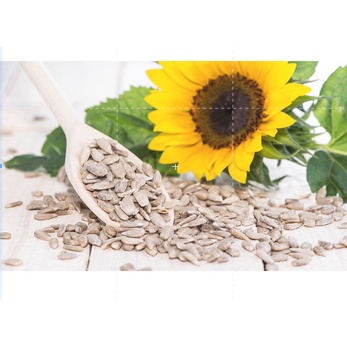 

SUNFLOWER SEED( mentah belum dipanggang) / BIJI BUNGA MATAHARI KUPAS / KUACI KUPAS RERPACK MENTAH