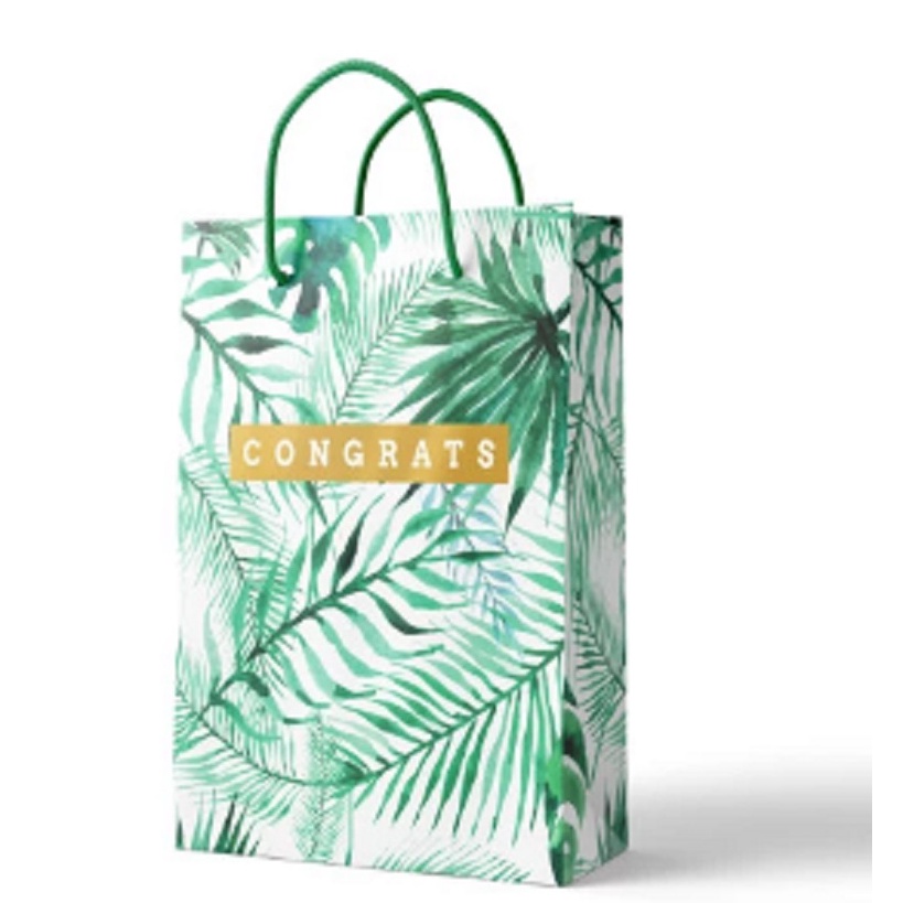 

Paper Bag Capricorn Uk 21.5x34.5x10.5cm - SBM044