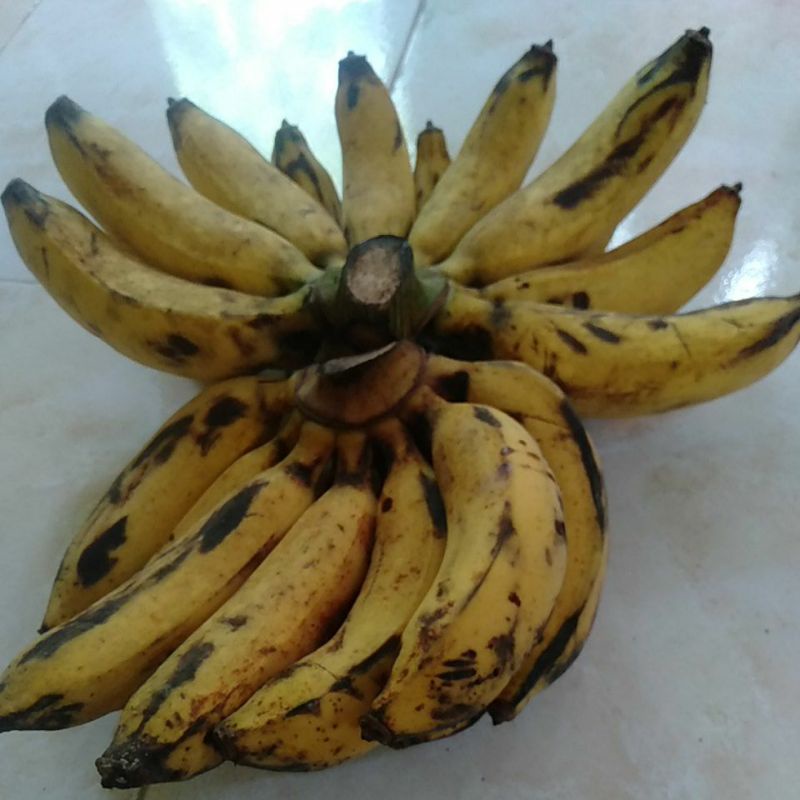 

PISANG ROJO RAJA BARANGAN 1sisir enak