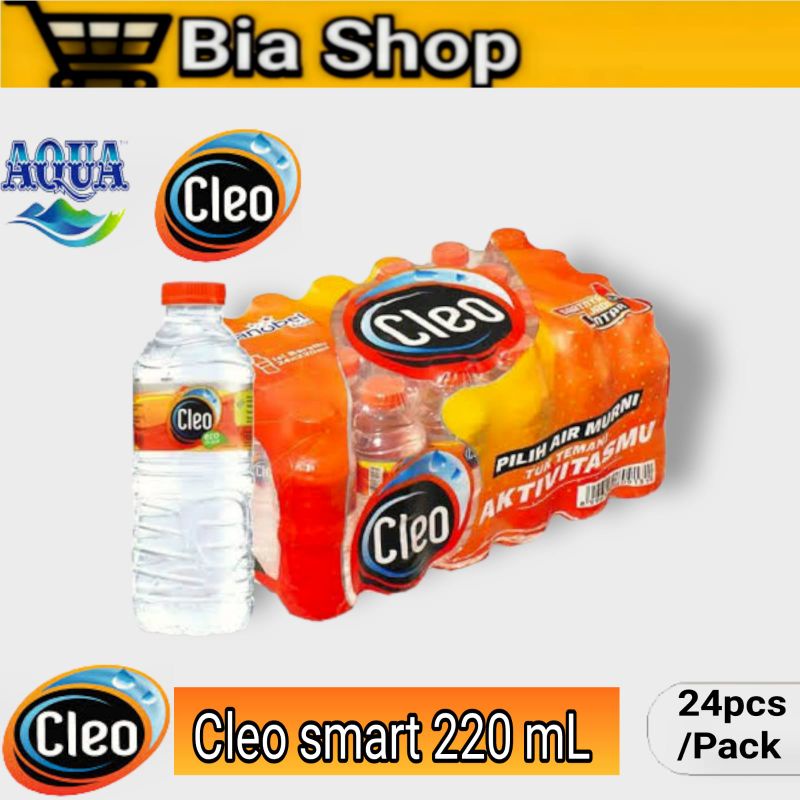 

CLEO SATU KRAT ISI 24