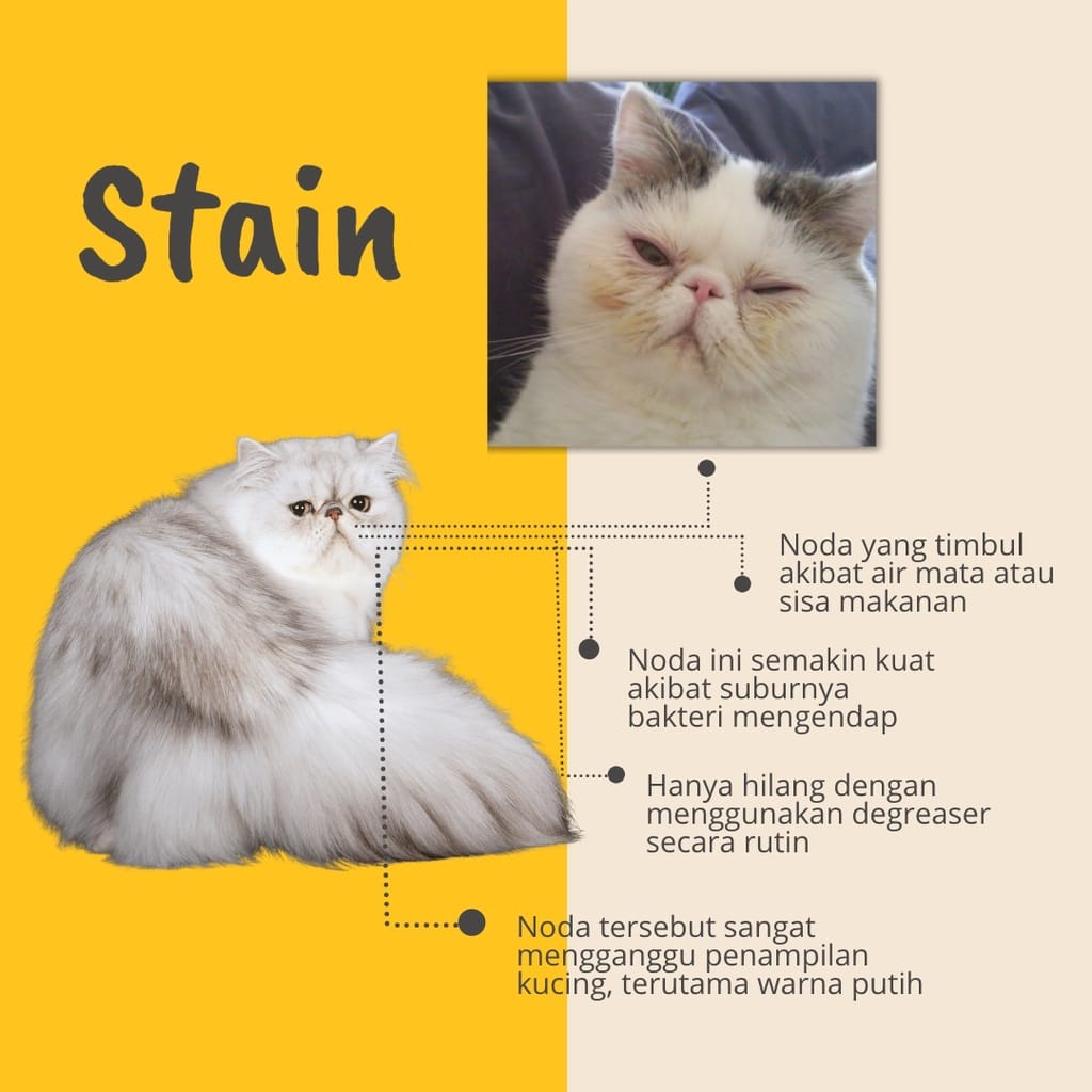 Groom Degreaser Kucing Anjing Penghilang Minyak Pada Bulu - Penghilang Noda Membandel 500 gr - Groomers Goop