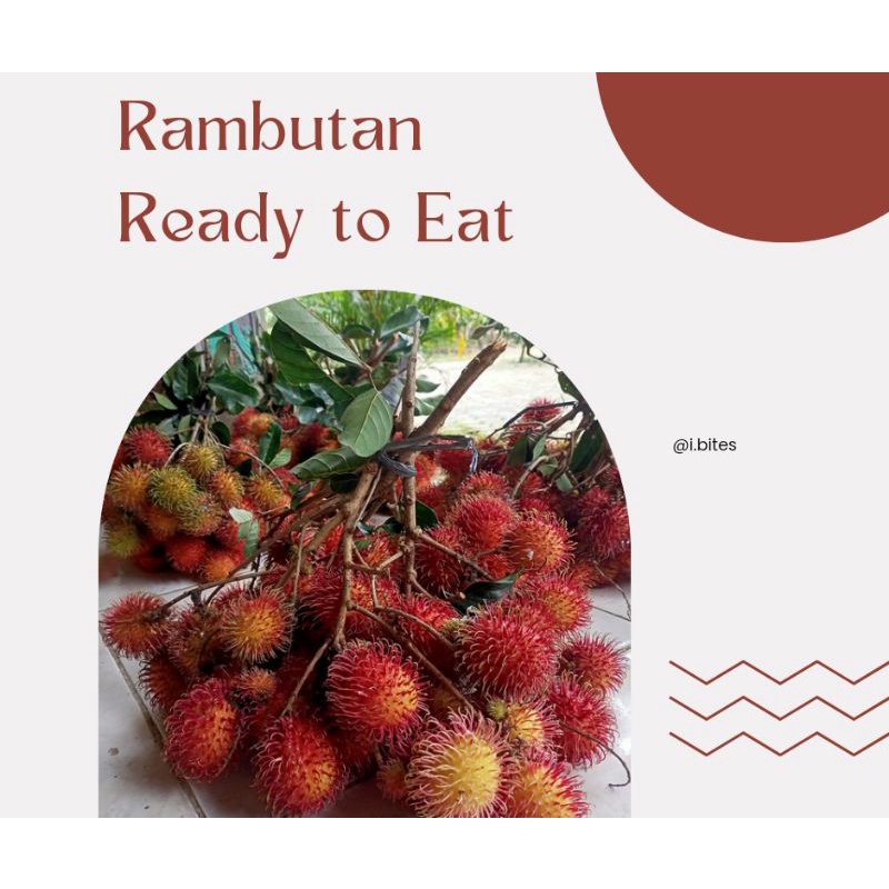 

Rambutan ace 1kg