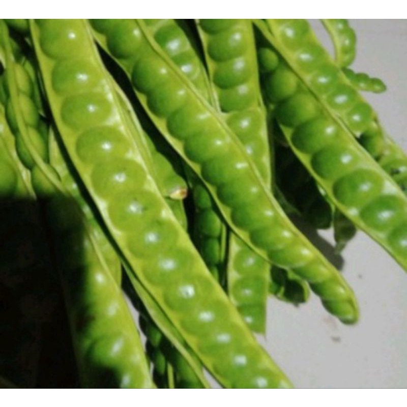 

Pete Sedang 10 papan