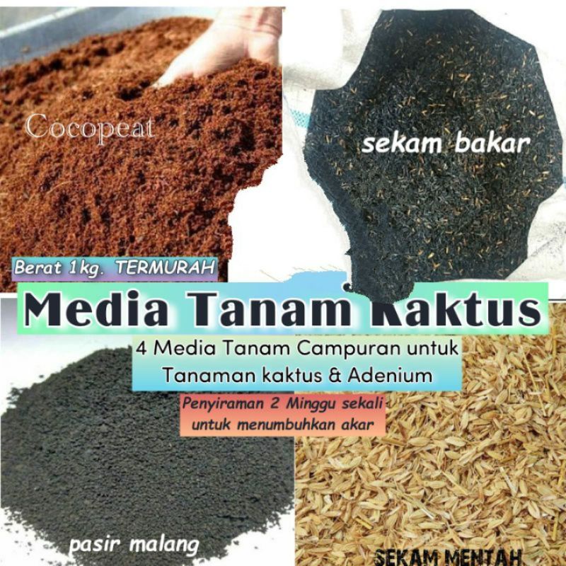 Media Tanam Perangsang Kaktus Tubuh Akar Cepat - Berat 1Kg Buat Kaktus