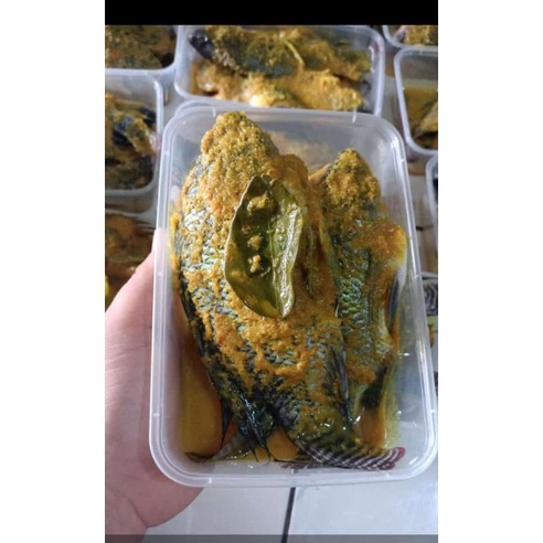 

IKAN MUJAER ISI 3-4 EKOR