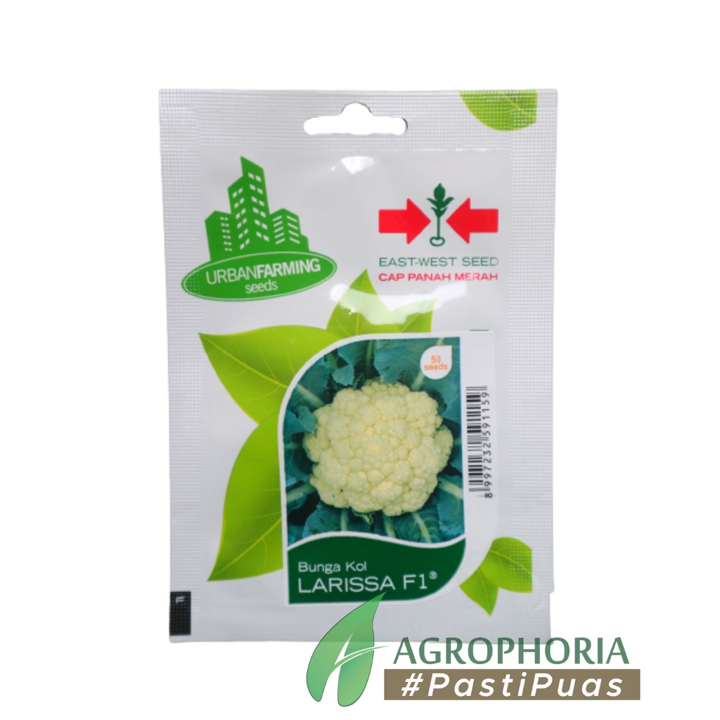 Benih Bunga Kol Larissa F1 - Cap Panah Merah