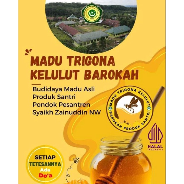 

Madu kelulut 100% asli dari sarangnya
