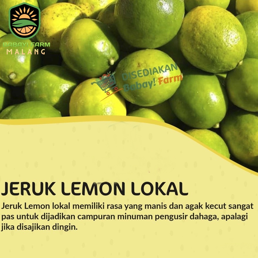 

Buah Jeruk Lemon Lokal Segar 500 gr / 1 kg