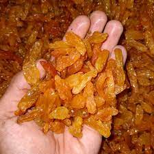 

Kismis Jumbo Asem Manis 100gram / Kismis Golden Raisin