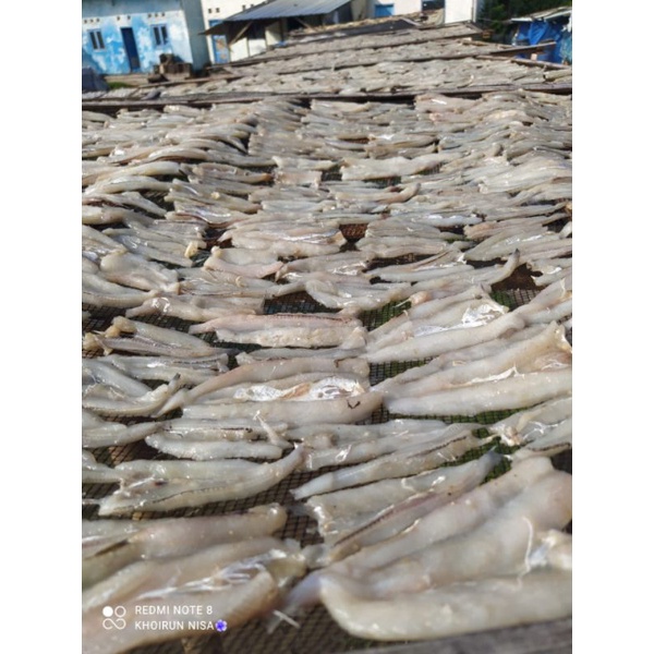 

paket usaha ikan asin kering