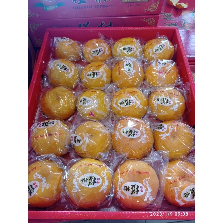 

GIFT BOX IMLEK - JERUK PONKAM TAIWAN KOIN EMAS 20