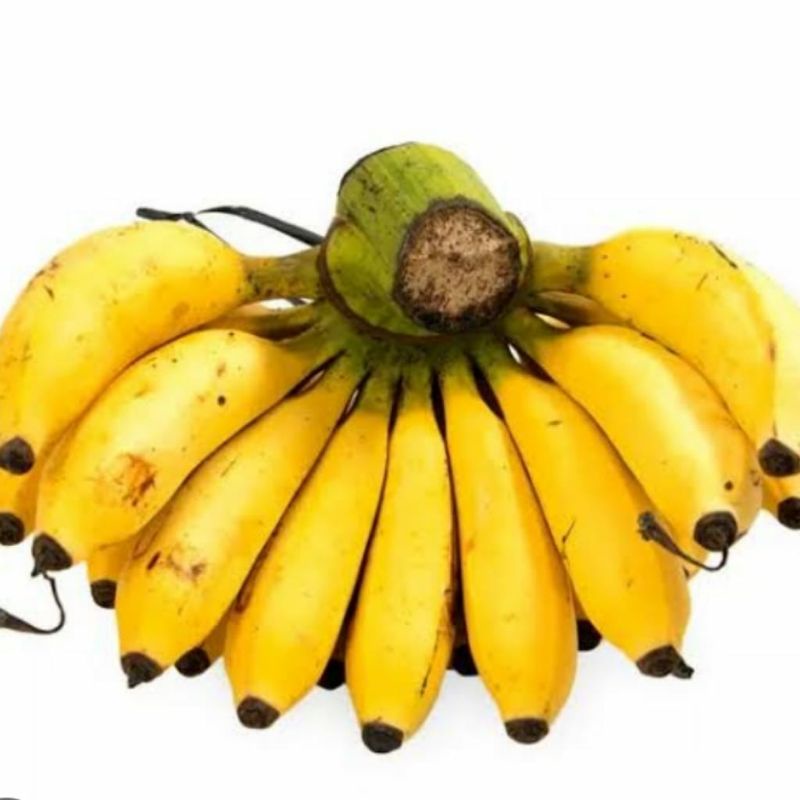 

Pisang raja sereh mentah (mateng besok) 1 sisir +- 1 kg