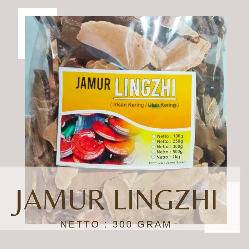 

JAMUR LINGZHI JAMUR REISHI JAMUR RE ISHI IRISAN KERING JAMUR KAYA MANFAAT BERAT BERSIH 300 GRAM